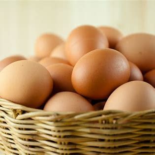 Telur Ayam Petelur